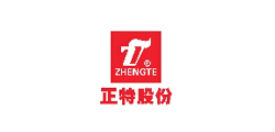 Zhengte Shares